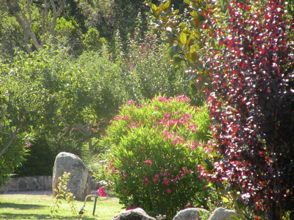 Les Jardins De Santa Giulia Hotel Porto Vecchio Exterior foto