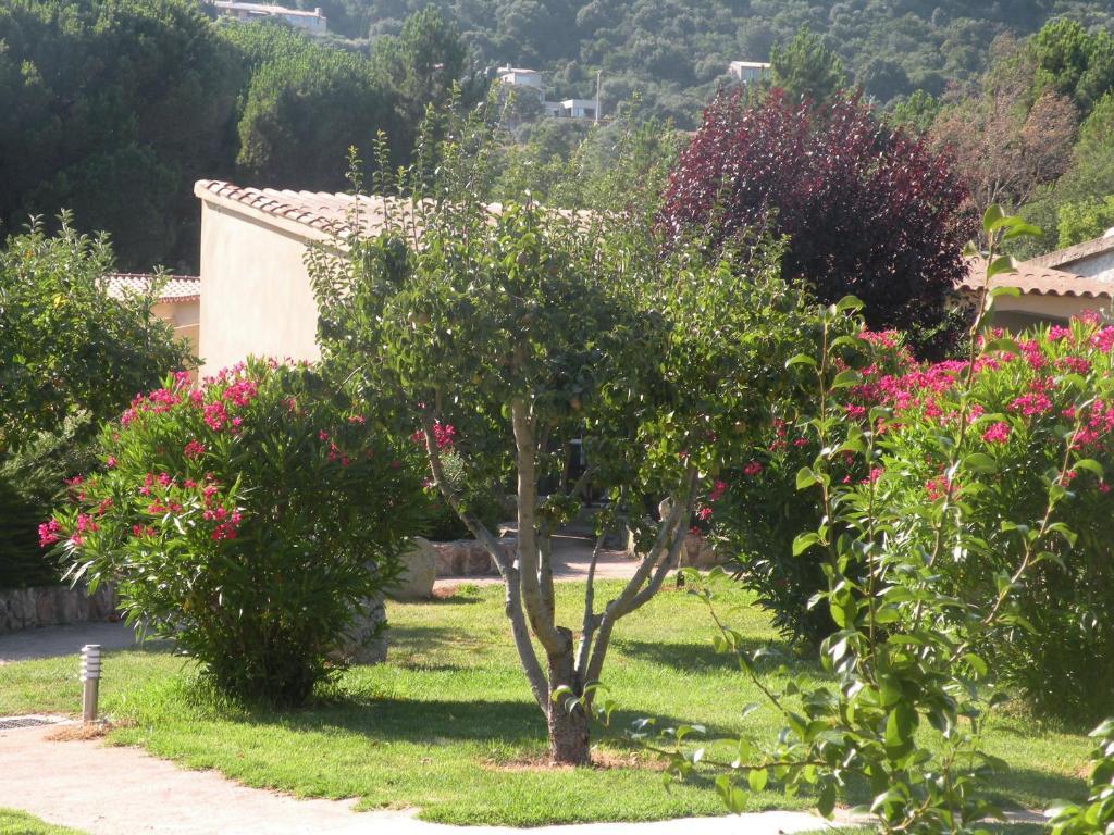 Les Jardins De Santa Giulia Hotel Porto Vecchio Exterior foto